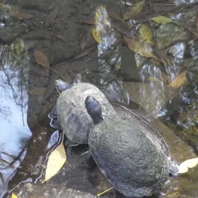 Parque Ecológico Los Sabinos