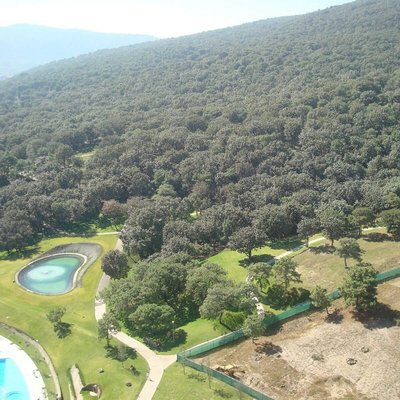 Bosque de la Primavera