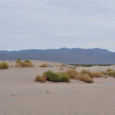 Dunas de Bilbao