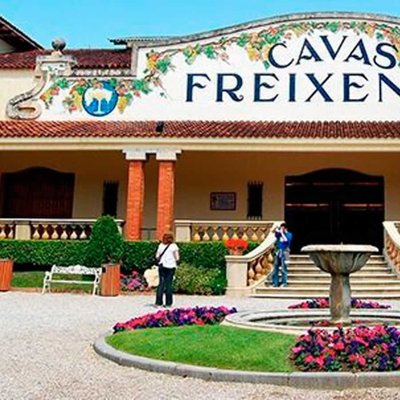 Cavas Freixenet