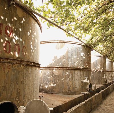 Museo del Vino