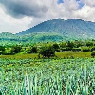 Volcán El Ceboruco