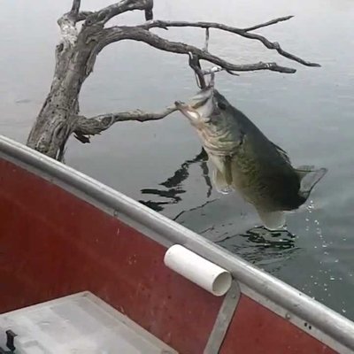 Presa Las Blancas