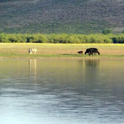 Laguna Rodolfo Fierro