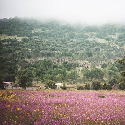 Amealco de Bonfil