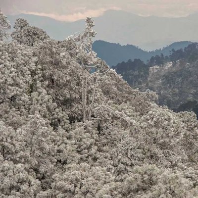 Reserva de la Biósfera de la Sierra Gorda