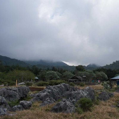 Bosque de la Trinidad