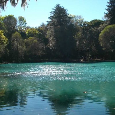 Bosque de las Truchas