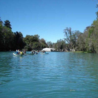 Bosque de las Truchas