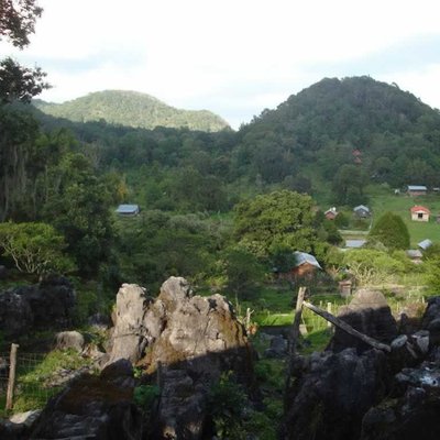 Reserva de la Biósfera El Cielo